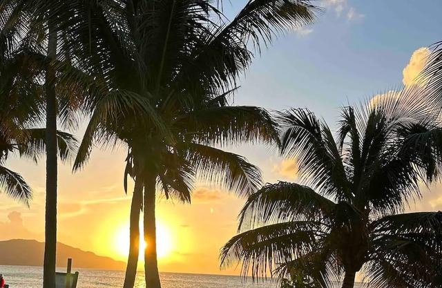 Retreat, Adventure, Beach, Pet and AC