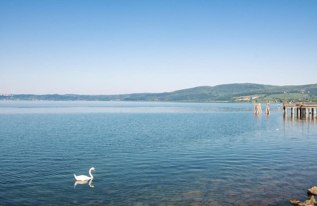 2 bedroom accommodation in Monterosi