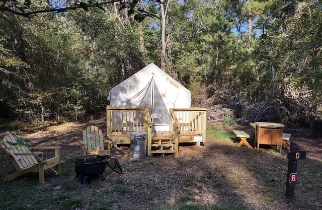 Tentrr State Park Site - TX Lake Livingston State Park - Site D - Single Camp