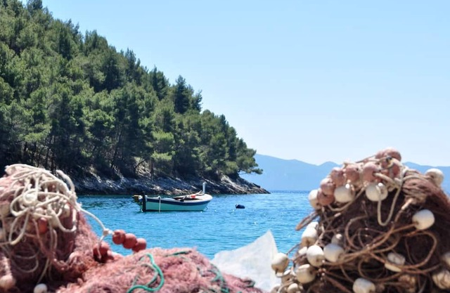 Apartment Hidden gem - beachfront: A1 Stella (5) - Bogomolje, Island Hvar, Croatia