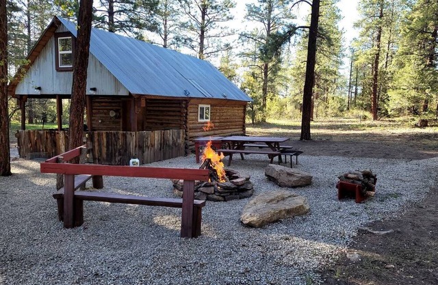 Unique Cabin Rental in Colorado for a Weekend Getaway in the USA
