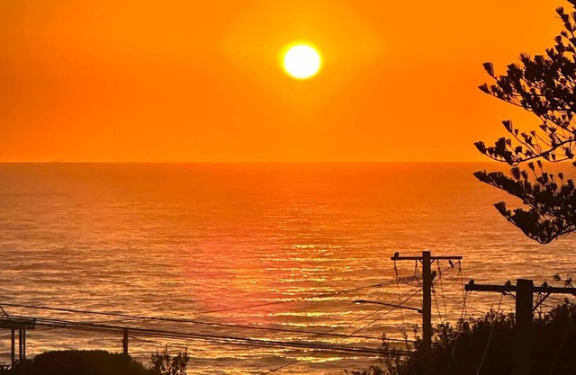 100m from Beach: The Wambi Getaway, Pet Friendly, 2BR, Entire Apartment and Yard