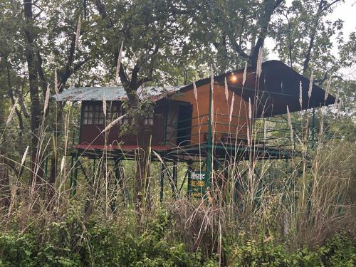 Treehouse at Kamp