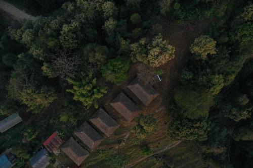 Annapurna Royal Camp