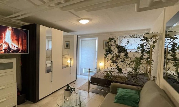 Basel City Centre Apartment | Fast Wifi 3 min to Rhein Comfy Bed