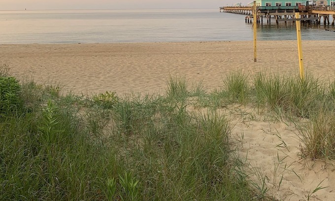 Norfolk House | Rustic Ocean View Beach House - BEST Location in Ocean View! 2 bed/1 bath House