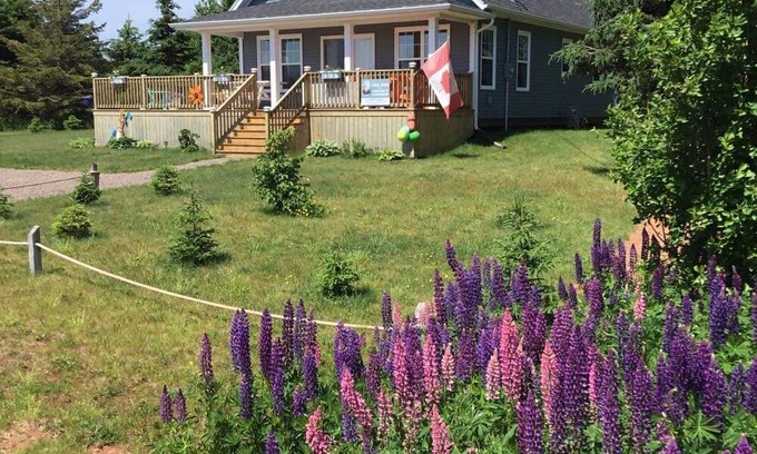 Darnley Cottage | Cosy well equipped Cottage minutes walk to Thundercove Beach.