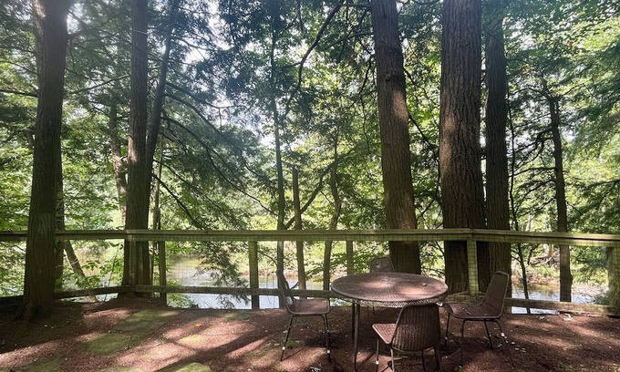 Greene Cottage | Rustic cottage surrounded by trees, overlooking a creek.