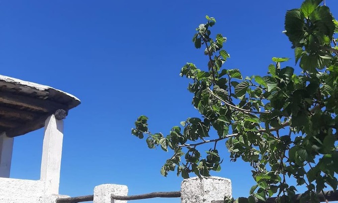 Pitres House | Cottage With Incredible Views In The Alpujarras