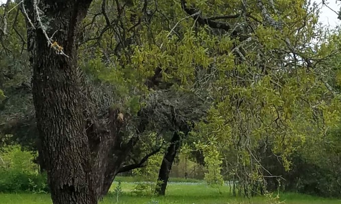 Moody RV Rental | Primitive Camping for Eclipse in Path of Totality