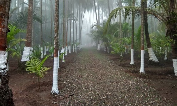 Alibaug House | Anandamay is the place for relaxation with your loved ones & perfect for couples