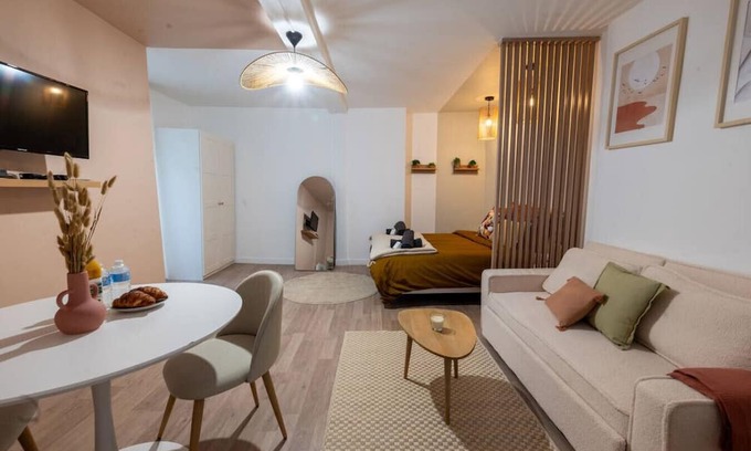 Romilly-sur-Seine Apartment | Magnificent renovated Studio downtown 3pers wifi