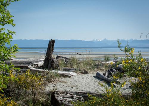 Comox House | Windslow Guest Suite at Kye Bay