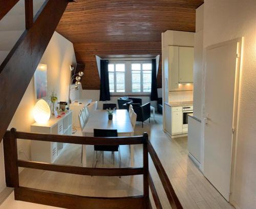 Neuchatel Hotel | Superbe Duplex Vue Château et Lac