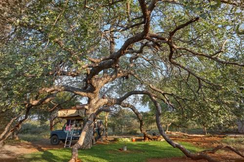 Tsumeb Other | ZuriCamp - Campsite Halishi